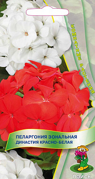 Пеларгония Династия Красно-белая (5шт) Поиск/10