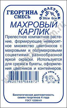 Георгина Махровый Карлик (0,1г) Б/П Золотая Сотка/20