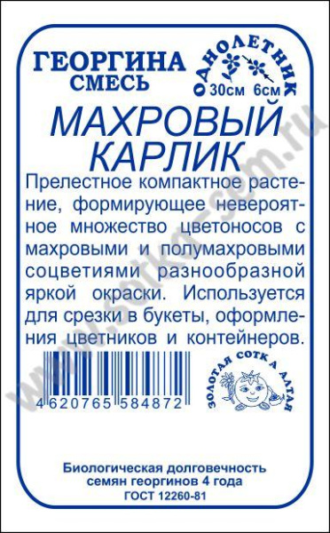 Георгина махровый карлик БП