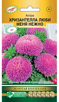 Астра ХРИЗАНТЕЛЛА Люби меня Нежно (5шт) Евросемена/10