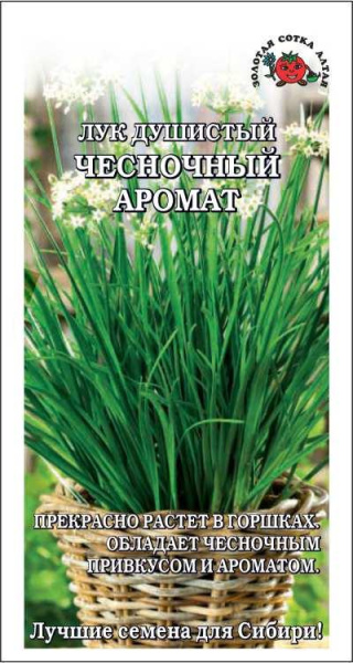 Лук чесночный аромат