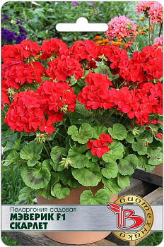 Пеларгония Мэверик Скарлет F1 (5шт) Биотехника/10