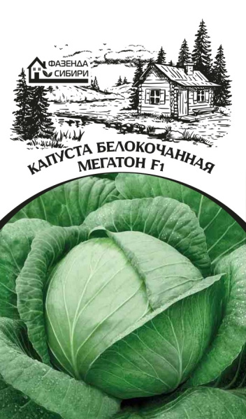 kapusta megaton f1 faz