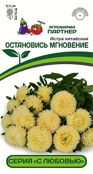 Астра Остановись Мгновение китайская (5шт) Партнер/10