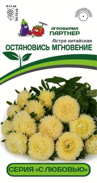 астра остановись мгновение