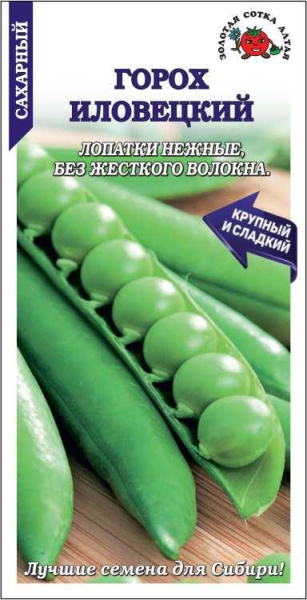 Горох Иловецкий