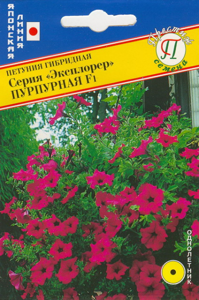 Петуния Эксплорер пурпурная