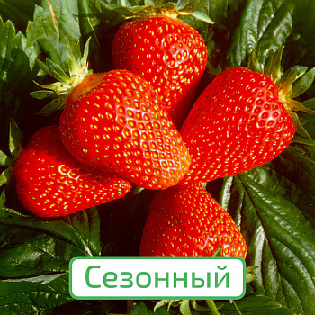 Клубника сезонная Клери ЗКС в стакане 200мл /КРАТНО 6 шт/