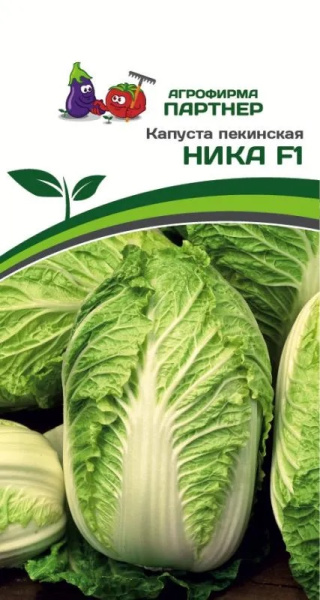 Капуста пек ника
