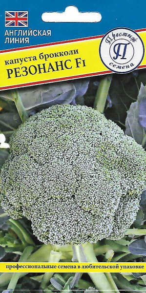 Резонанс