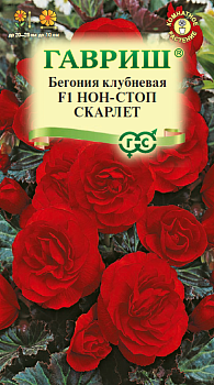 Бегония Нон-стоп Скарлет F1 (4шт) Гавриш/10