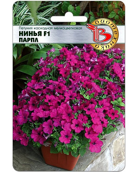Петуния Нинья F1 Парпл (5шт) Биотехника/10