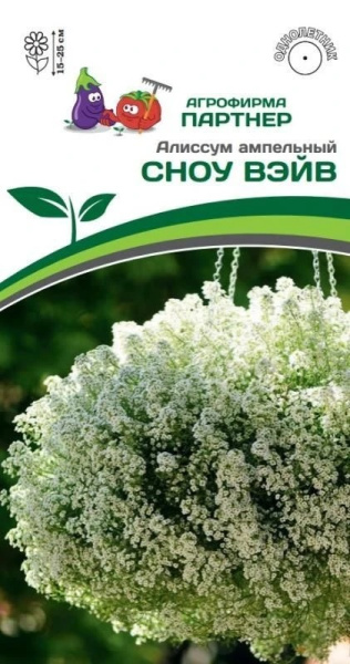 Алиссум Сноу Вэйв