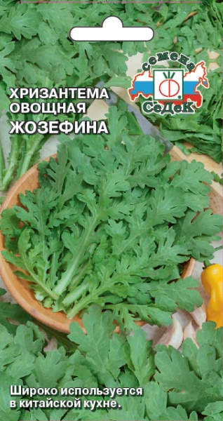 khrizantema_ovoshchnaya_zhozefina