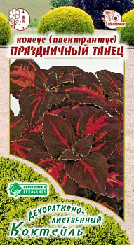 Колеус Праздничный Танец (10шт) Евросемена/10
