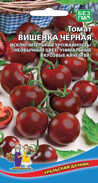 tomat-cherri-vishnya-chernaya