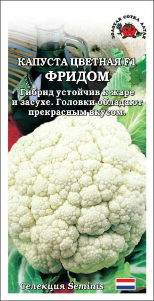 Фридом