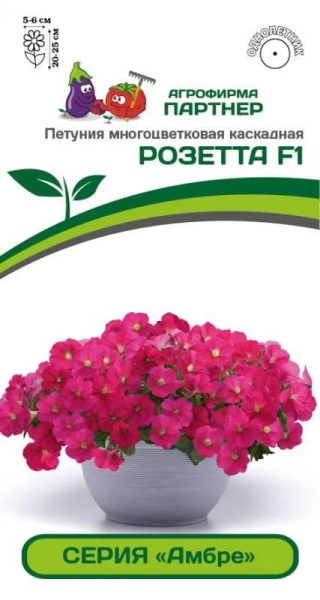 Розетта