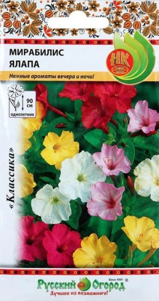 Мирабились ялапа