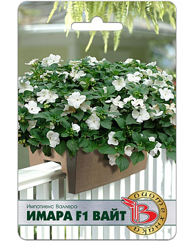 Бальзамин/импатиенс Имара F1 Вайт (8шт) Биотехника /10