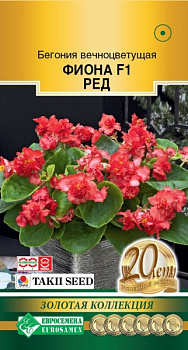Бегония Фиона Ред F1 (5др) Евросемена/10