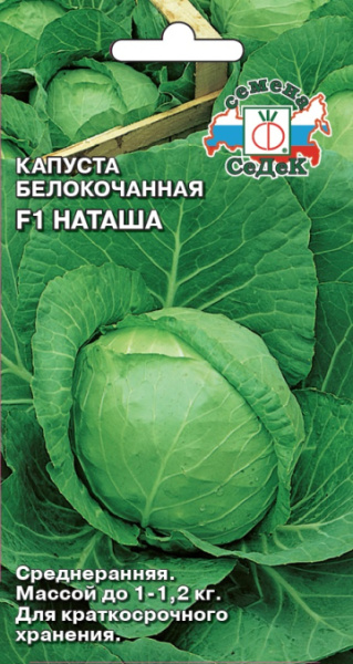 kapusta_natasha_f1