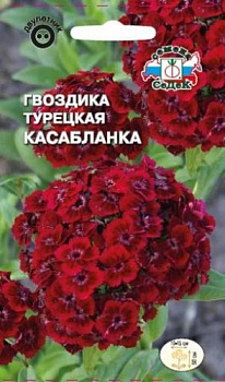 Гвоздика турецкая Касабланка (0,3г) СеДеК/10