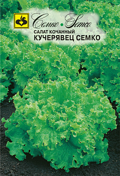 Салат Кучерявец Семко (1г) Семко/10