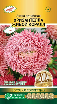 Астра ХРИЗАНТЕЛЛА Живой Коралл (5шт) Евросемена/10