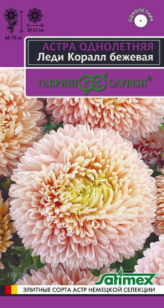 Астра Леди Коралл бежевая