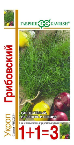 Укроп Грибовский