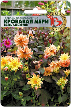 Георгина Кровавая Мери (смесь) (20шт) Биотехника/10