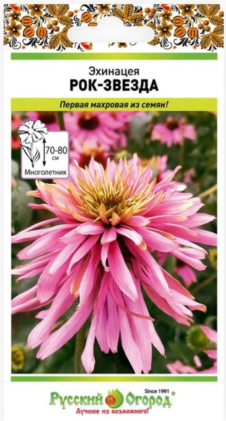 Эхинацея Рок звезда