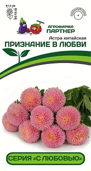 Астра Признание в любви китайская (5шт) Партнер/10