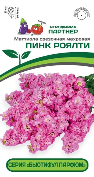 Маттиола Пинк Ролти