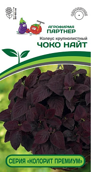 Колеус Чоко Найт (5шт) Партнер/10