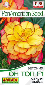 Бегония Он Топ Сансет шэйдз F1 (5шт) Аэлита/10