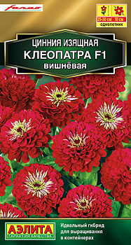 Цинния Клеопатра Вишневая F1 (12шт) Аэлита/10