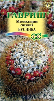 Маммиллярия Бусинка (2шт) Гавриш/10