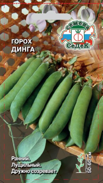 gorokh_dinga