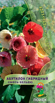 Абутилон Бельвю, смесь (0,1г) Поиск/10