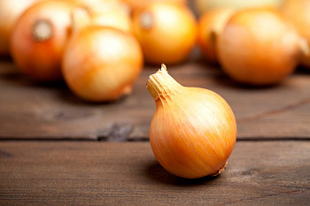 Лук-севок Золотистый Семко F1 21-24 цена за мешок /25кг