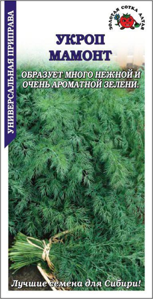 Укроп Мамонт