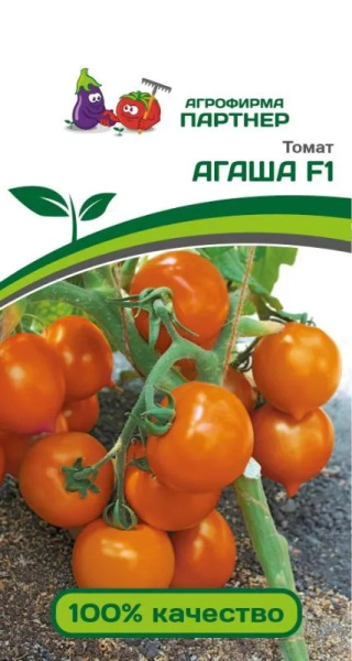 агаша