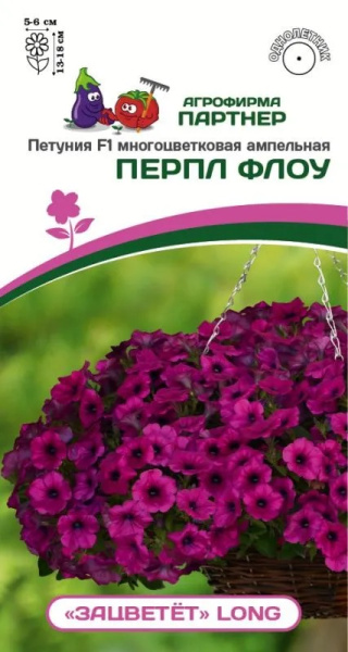 Петуния зацветет перпл флоу