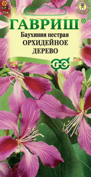 Баухиния пестрая Орхидейное дерево