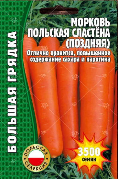 Сластена поздняя