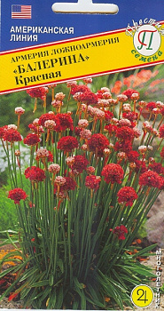 Армерия Балерина Красная (5шт) Престиж/10