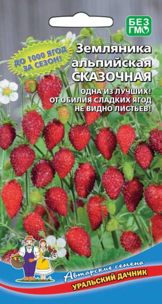 zemlyanika-alpiyskaya-skazochnaya