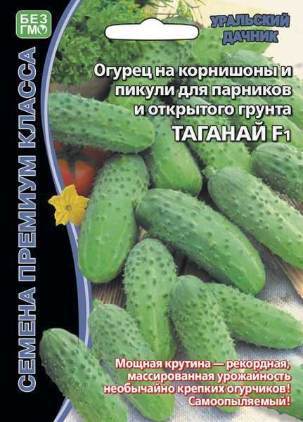 ogurec-na-kornishony-i-pikuli-dlya-parnikov-i-otkrytogo-grunta-taganay-f1